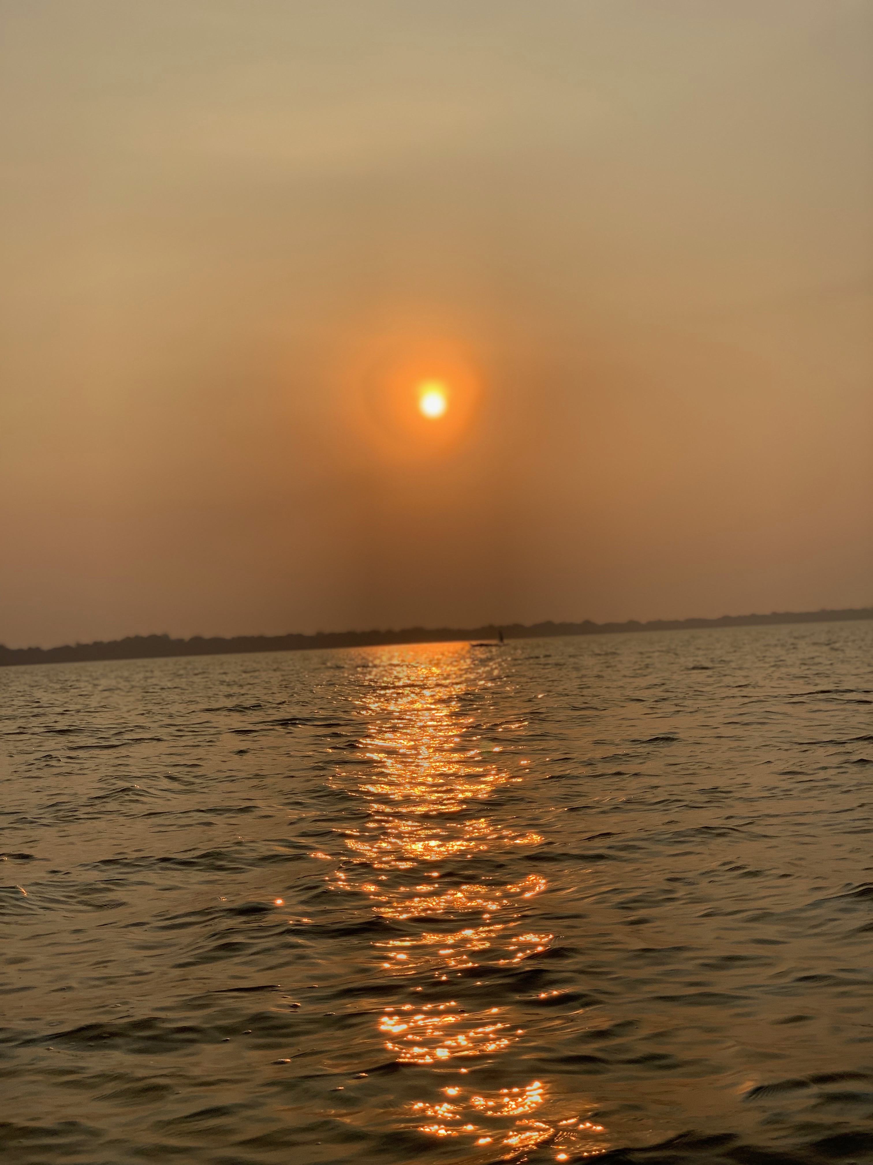 IMG_0975.jpg