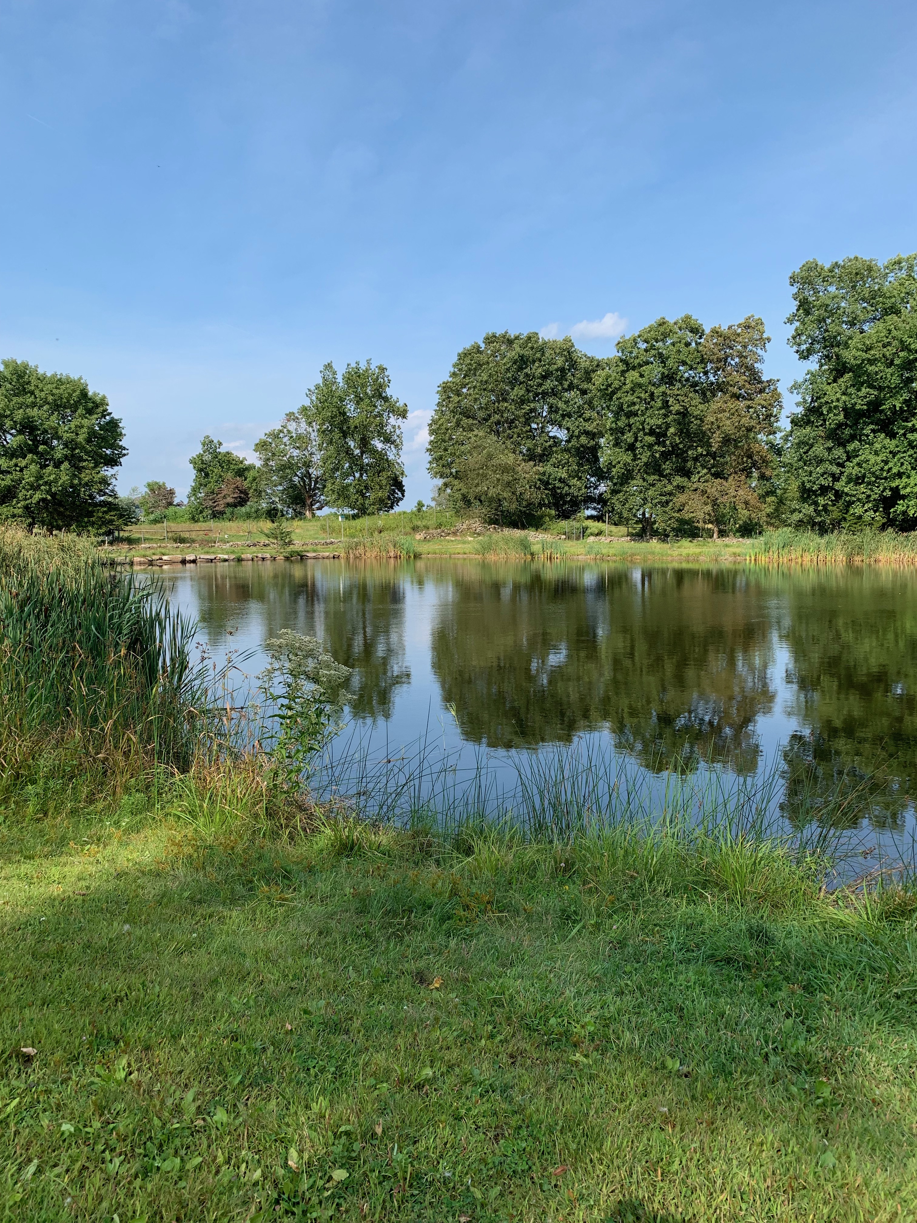 IMG_9974.jpeg