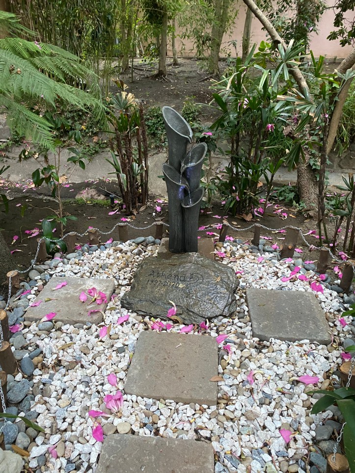 This image has an empty alt attribute; its file name is img_3154.jpg